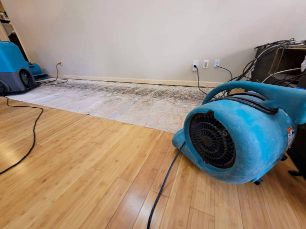 Professional Water Damage Repair technician working in Avalon, PA